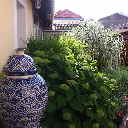 La Maison De Lilly Arcachon