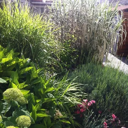 Couette-café La Maison De Lilly