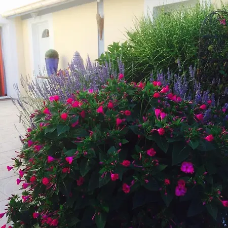 La Maison De Lilly Frühstückspension