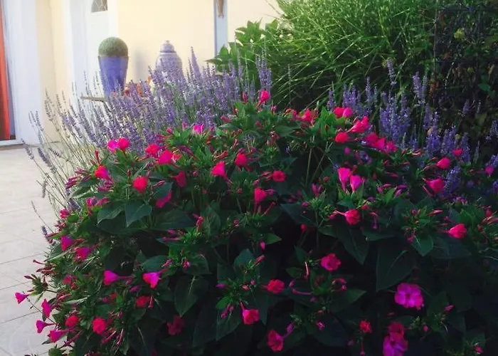 La Maison De Lilly Отель типа 