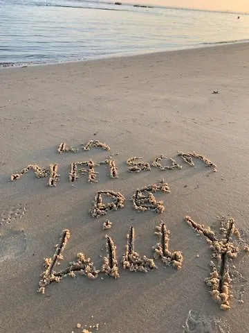 La Maison De Lilly Аркашон